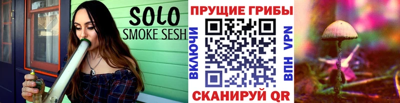 Псилоцибиновые грибы Cubensis  Микунь 